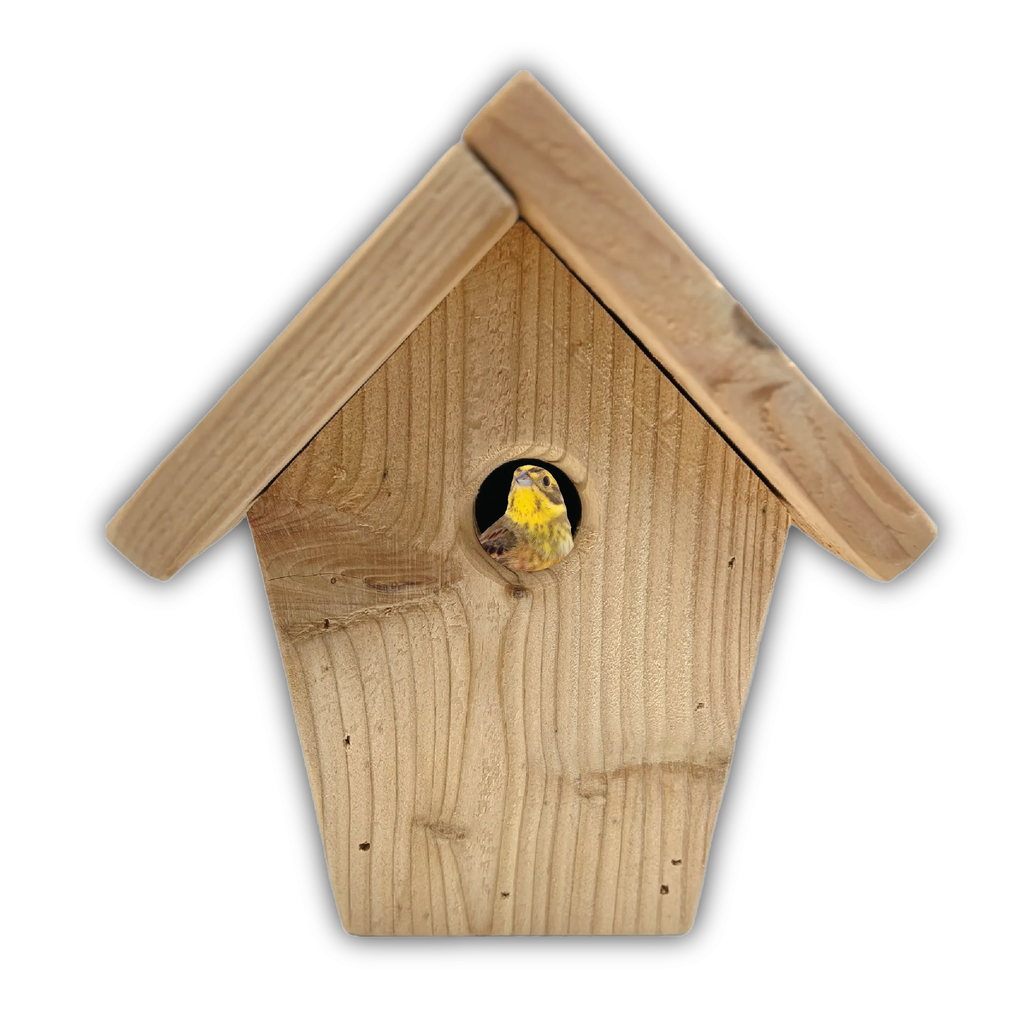 Astro Nesting Box