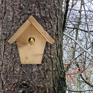 Astro Nesting Box