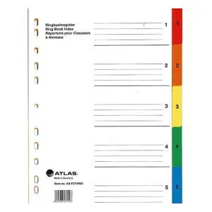Atlas Plastic Divider Transparent 10 Parts