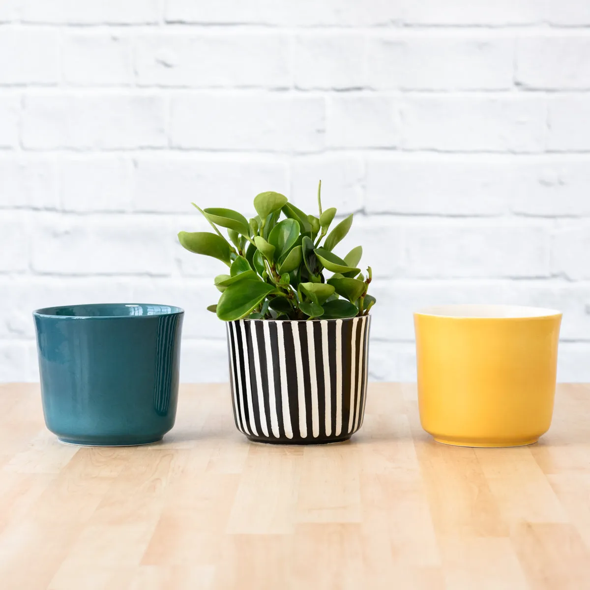 Emerson Pot - Bold