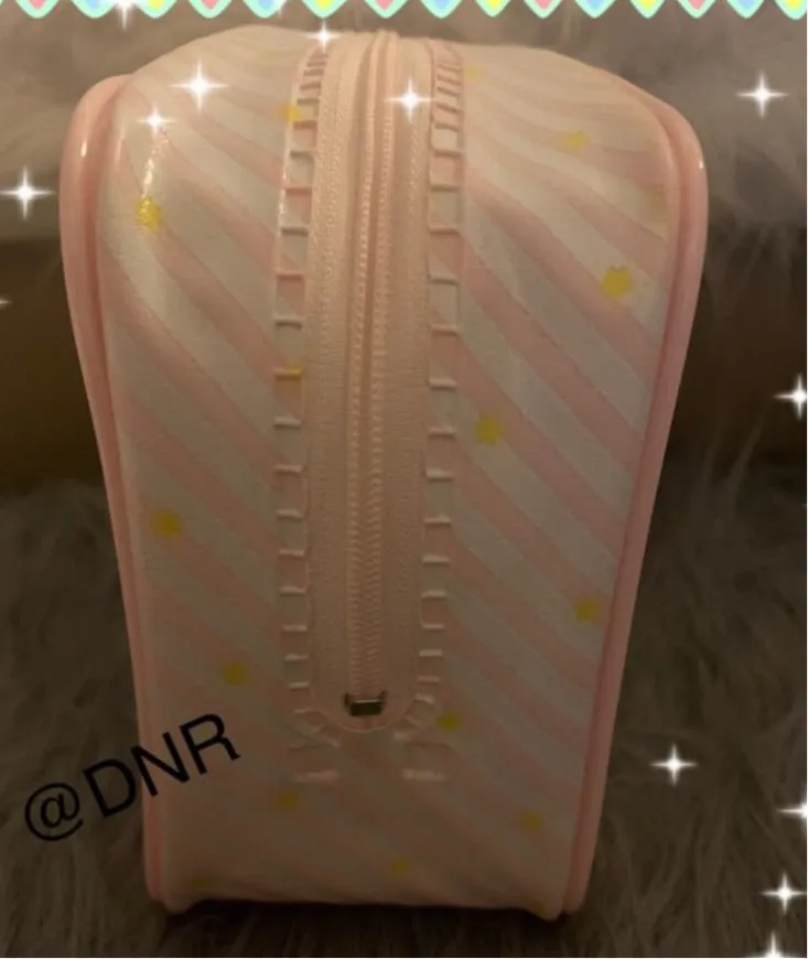 Little Twin Stars Cosmetics Pouch Stowage Case Japan