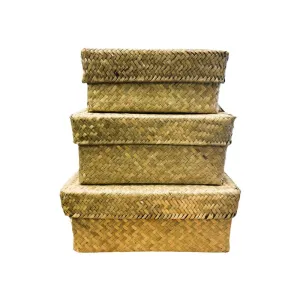 Seagrass Rectangle Box W Lid - Single