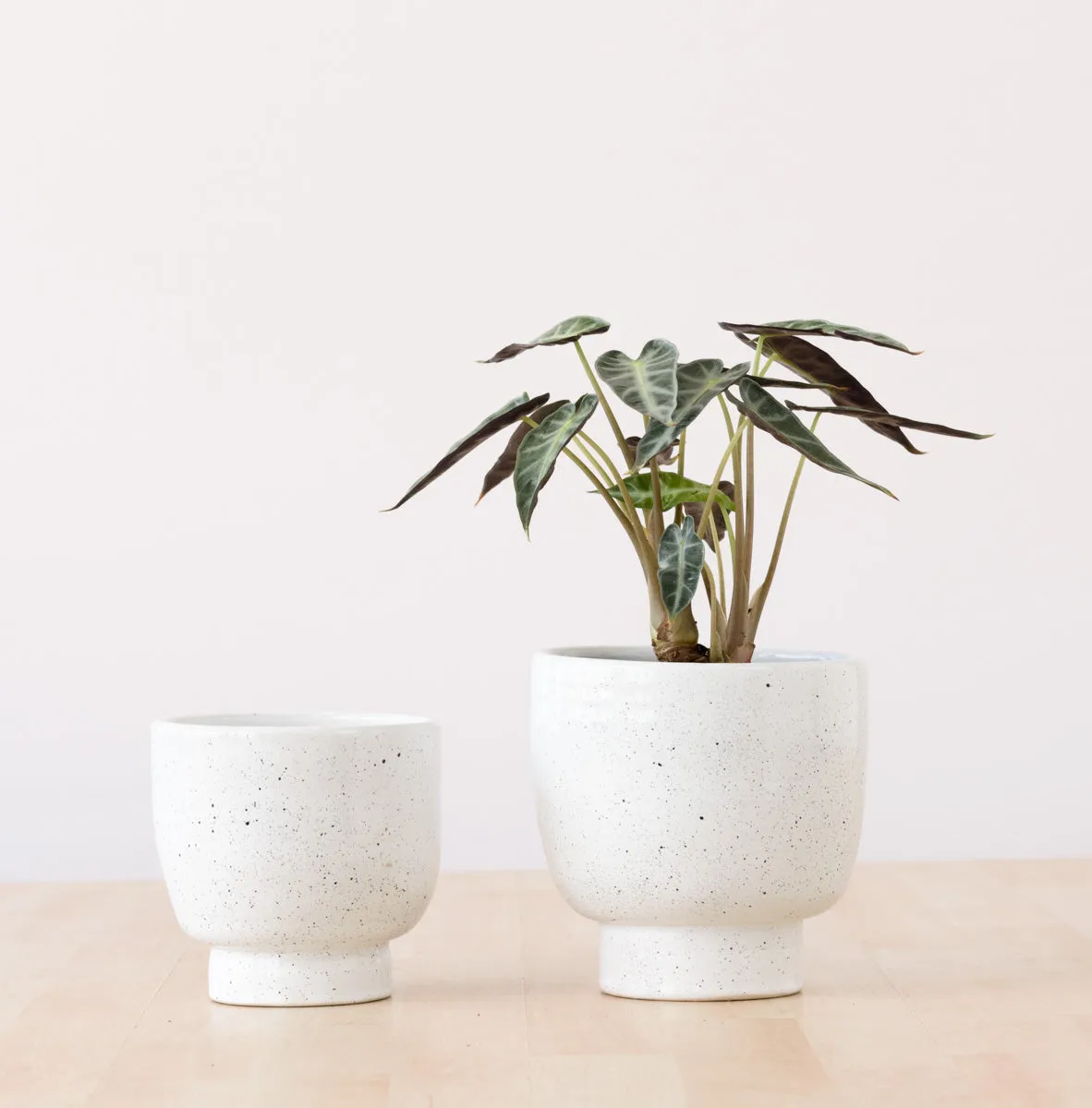 Shing Plinth Planter - Speckles