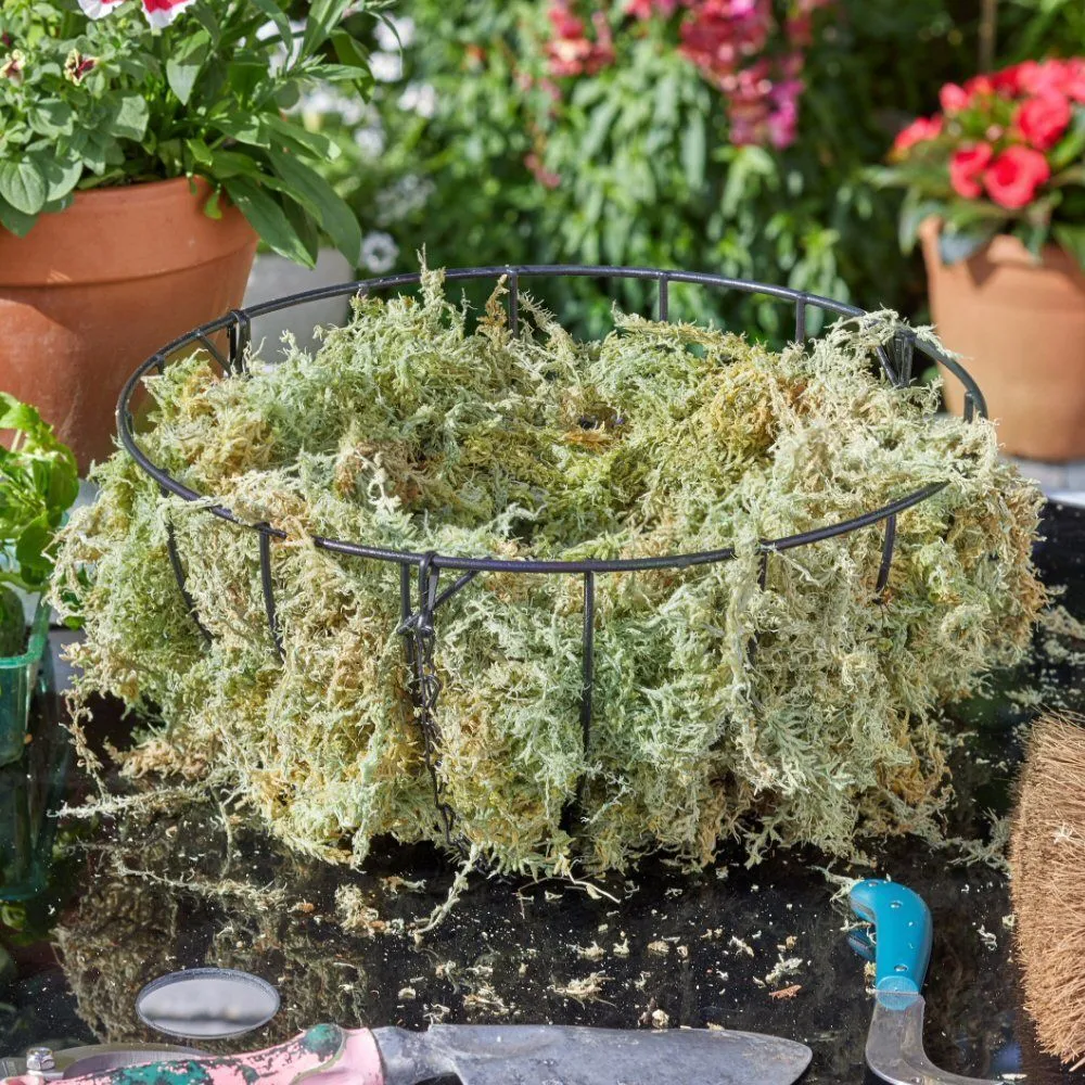 Smart Garden Jumbo Sphagnum Moss Hanging Basket Liner